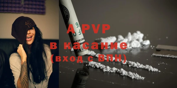 таблы Новозыбков