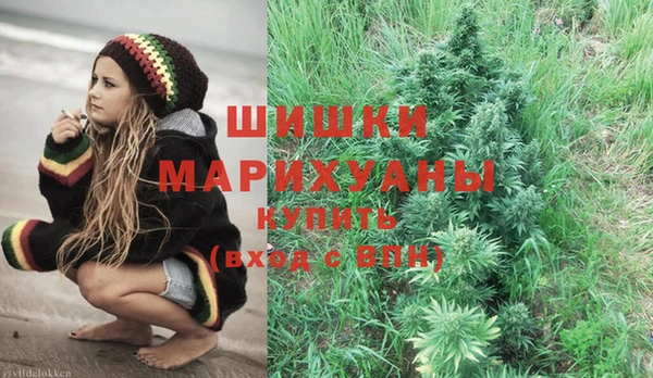 таблы Новозыбков