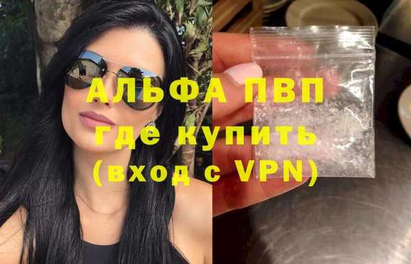 эйфоретик Новодвинск