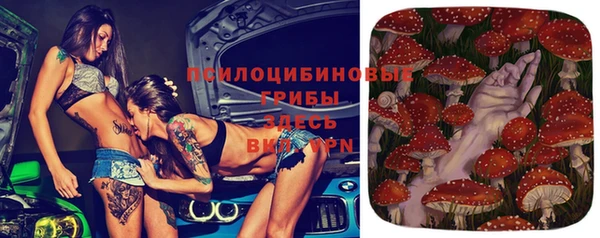 ГАЛЛЮЦИНОГЕННЫЕ ГРИБЫ Новокубанск