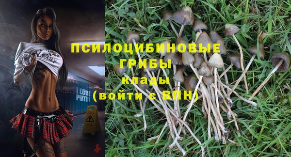 эйфоретик Новодвинск